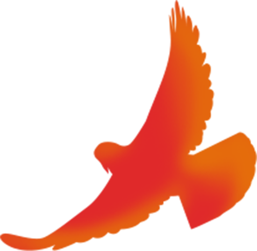 微信图片_2026-06-02_163844_838.png